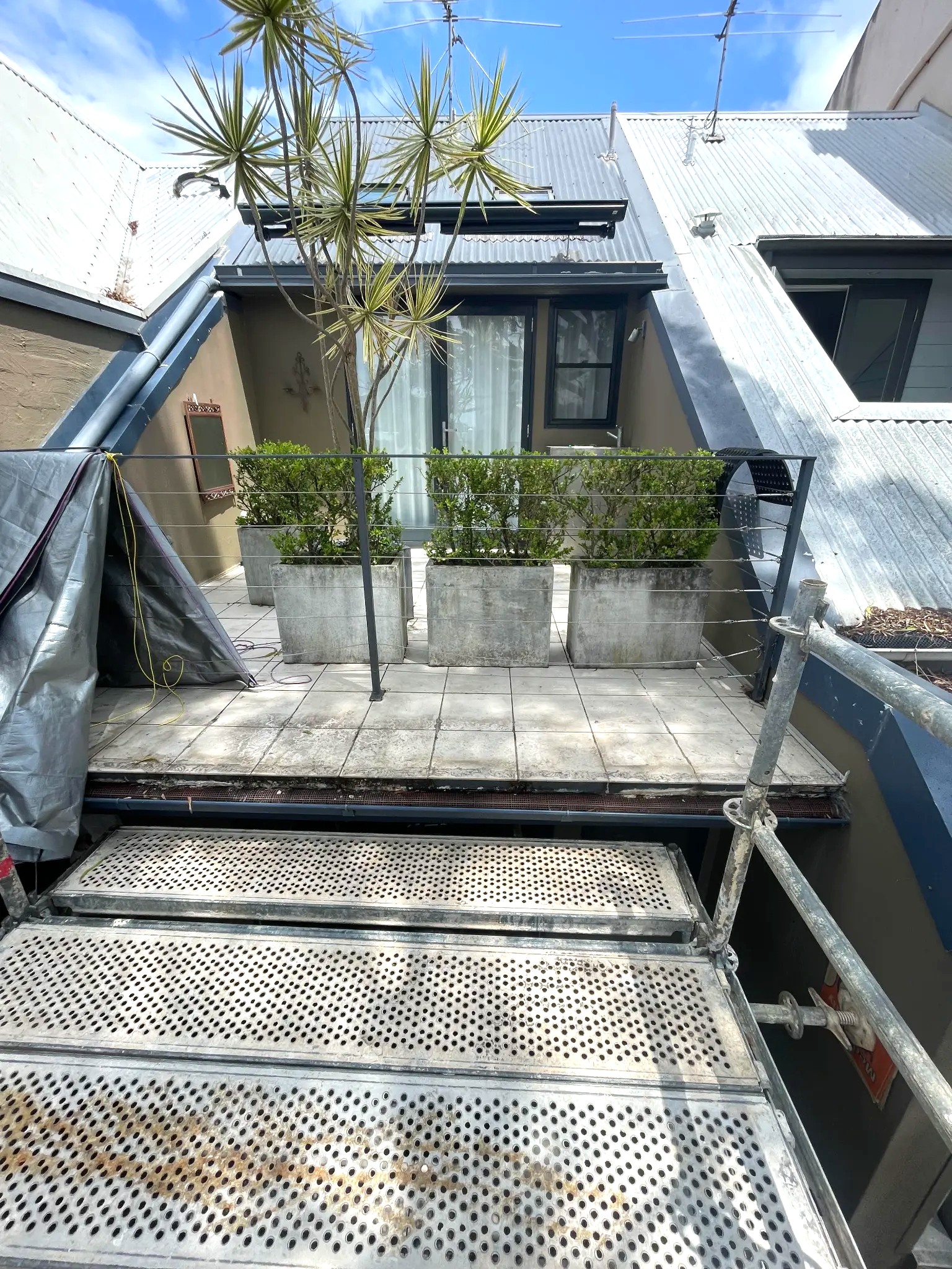 Balmain - Before